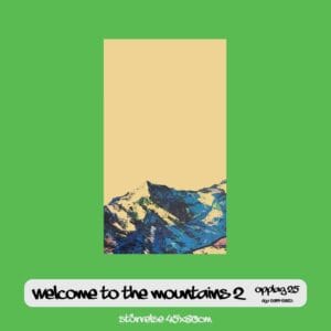 Welcome to the Mountains 2 45x80cm