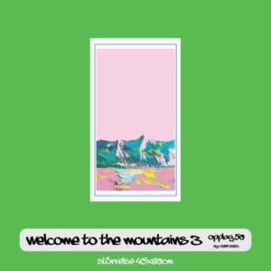 Welcome to the mountains 3 45x80cm